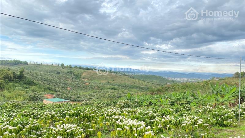 Đất rẻ đầu tư -  nghỉ dưỡng đều được - Ảnh 1