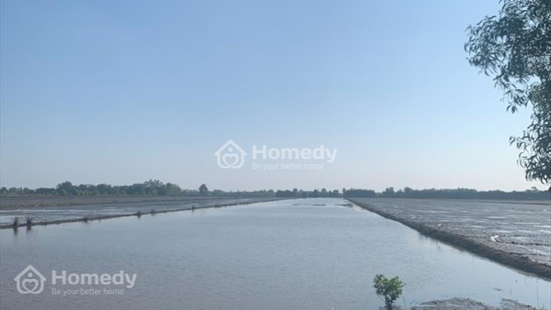 Do nhà ở An Giang nên cần bán lại 4 lô đất 2 mặt tiền kênh 18 19 - Ảnh 1