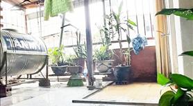 Cho thuê nhà riêng tại ngõ 55 Trần Hòa, 42M2, giá 5,5 triệu có thương lượng - Ảnh 8