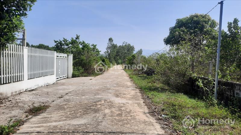 Lô Đất 8.000m2 Giá Đầu Tư Tại Suối Tiên Cần Bán - Ảnh 1