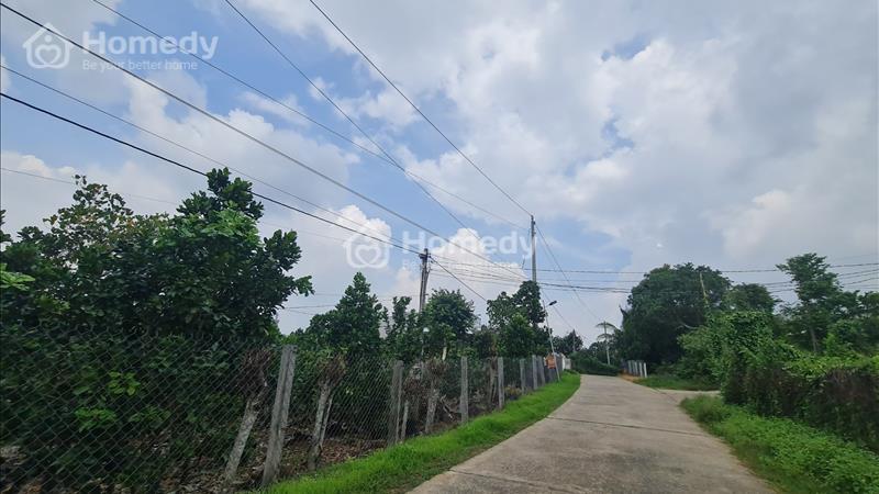 Bán 48x117 đất Phú Thịnh - Huyện Tân Phú Sinh lời nhanh  - Ảnh 1