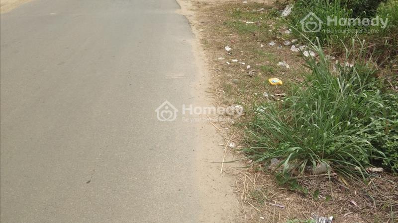 Bán 10x46 đất Thổ cư MT Trà Cổ, Huyện Tân Phú chính chủ 280tr/ m ngang - Ảnh 8