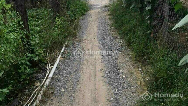 Bán đất sạch giá rẻ Huyện Châu Thành, Tỉnh Long An - Ảnh 2