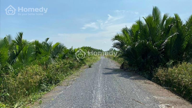 Bán đất Huyện Cần Giờ - TP Hồ Chí Minh giá 1.50 Triệu - Ảnh 1