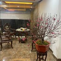 Bán nhà mặt phố Quận Nam Từ Liêm - Hà Nội giá 16.00 Tỷ
