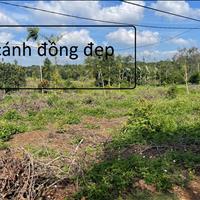 Bán lô đất sào 26x45 TC 160 đất View cánh đồng lúa đất Việt Đức 4 huyện CưKin