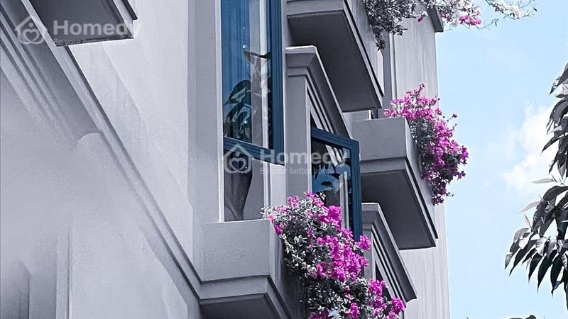 Hoa mộc lan giữa trời tháng năm - Ảnh 1