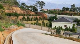 Cắt lỗ lô đất xây dựng Nguyễn Thiện Thuật TT Lạc Dương, giáp đồi thông view đẹp chỉ 13,5 tr/m2 - Ảnh 3