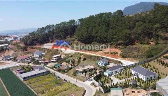 Cắt lỗ lô đất xây dựng Nguyễn Thiện Thuật TT Lạc Dương, giáp đồi thông view đẹp chỉ 13,5 tr/m2 - Ảnh 1