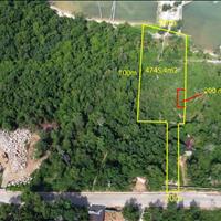 Bán đất mặt tiền và mặt biển phù hợp xây resort có 200 m2 thổ cư. 0938 803 925