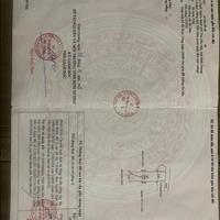 Em cần bán gấp đất chính chủ ở đường Nguyễn Tri Phương, phường Chánh Nghĩa, TP Thủ Dầu Một