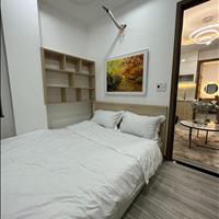 Bán chung cư mini Đình Thôn – Mỹ Đình 2 ngủ full đồ, ở ngay, ô tô đỗ