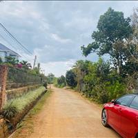 Chính chủ chào bán 1200m2 đất có 200 thổ cư