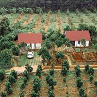 Chính chủ bán vài lô đất thổ cư và trồng cây lâu năm
