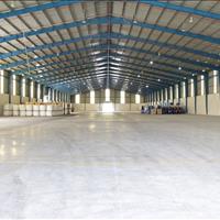 Cho thuê kho dịch vụ, kho lưu trữ hàng hóa, dịch vụ chuyên nghiệp, vị trí thuận lợi