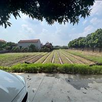 Lô đất 1056m2 tại Khoái Châu , Hưng Yên view sông , 2 mặt tiền 