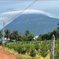 Đất full thổ MT nhựa 10m ở Dương Minh Châu - Tây Ninh chỉ 369tr/150m2