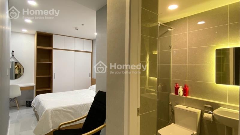 Căn hộ chung cư 5 sao Terra Royal 2 phòng ngủ và 3 phòng ngủ lầu cao, view đẹp - Ảnh 6