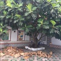 Cho thuê nhà phố tại Đường Trần Hưng Đạo - 1 - Sa Đéc, 4 tầng, đầy đủ nội thất, giá 12 tr/tháng