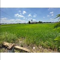 Chính chủ cần bán gấp 1000m² đất lúa mặt tiền Ng V Trỗi, giáp ranh T.T Cần Đước 1tỷ750 vị trí đẹp