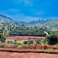 Bán đất ngoại ô Đà Lạt view nghỉ dương săn mây, sổ hồng riêng sẵn thổ cư