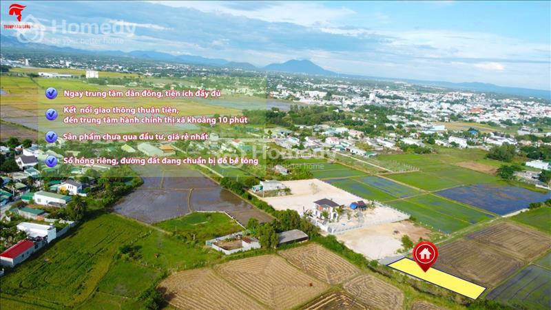 Đất đẹp giá rẻ - 128m2 full thổ cư Phước Hội - Thị xã LaGi giá mềm, dân cư hiện hữu - Ảnh 1