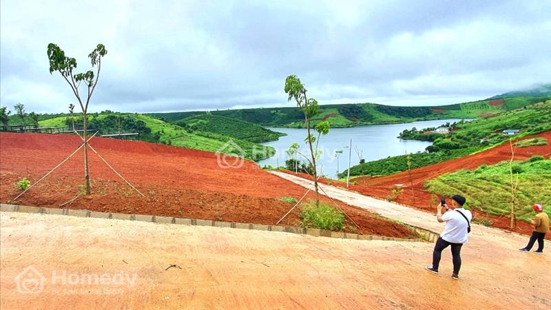 Bán 02 lô 500m2 đất Bảo Lộc 3 mặt hứng Hồ như hình, có THỔ CƯ, giá đẹp 2 triệu/m2 - Ảnh 4
