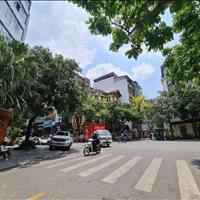 Bán nhà phố 5 tầng, 50 m2 tại Đường Hoàng Ngân - Trung Hòa - Cầu Giấy - Hà Nội, giá 18.2 tỷ