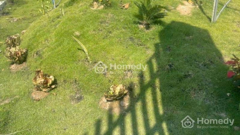 Bán lô đất Bến Than, quy hoạch khu dân cư hiện hữu , cách chợ Sáng Tân Thạnh Đông 2km, 920m2, 2 tỷ - Ảnh 4