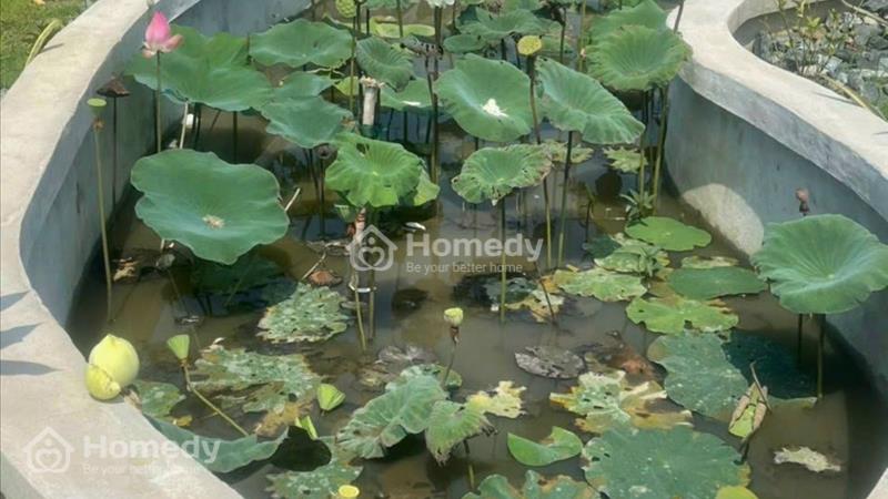 Bán lô đất Bến Than, quy hoạch khu dân cư hiện hữu , cách chợ Sáng Tân Thạnh Đông 2km, 920m2, 2 tỷ - Ảnh 6