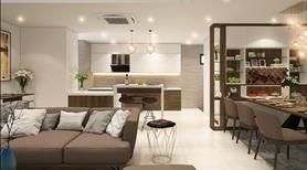 Bán Penthouse Thô 475m2 hướng đông nam tại chung cư Premier Berriver, Long Biên, Hà Nội - Ảnh 2