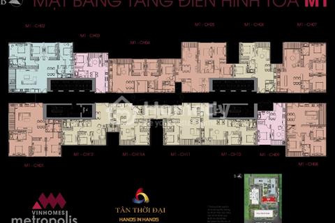 Mua Biệt thự cần tiền bán gấp CHCC siêu sang 3PN+1 Vinhomes Metropolis
