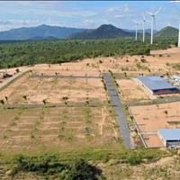 Cần bán đất Tuy Phong Bình Thuận 5000m2 ngay QL1A view biển giá chỉ 390k/m2