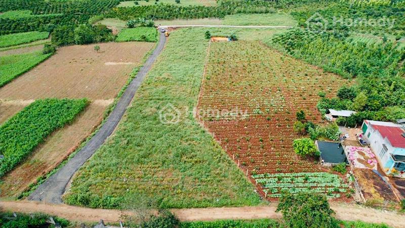 Bán lô đất 7300m2 ( 1000m2 xd ) huyện Đức Trọng giá rẻ - Ảnh 1