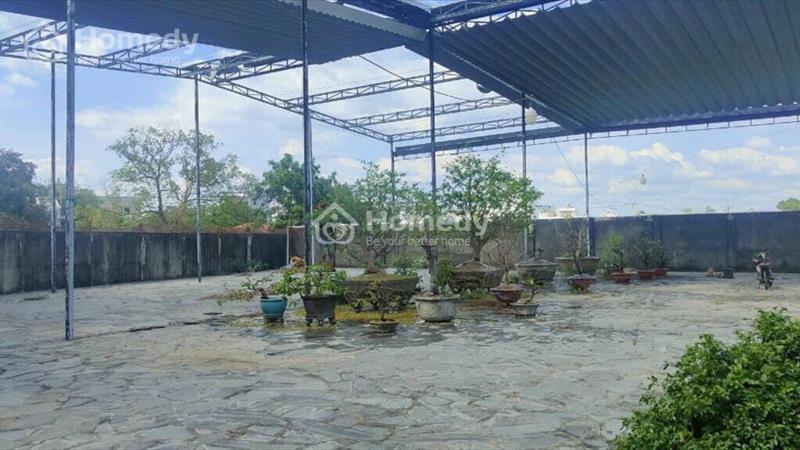 Tôi cần bán lô đất mặt tiền đường Tô Ký 1225m2 (có 200m2 xây dựng) - Hóc Môn - Ảnh 2