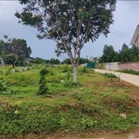 Chuyển nhà đi nơi khác cần bán Lô đất 534m2 tại Thanh Hải - Lục Ngạn - Bắc Giang