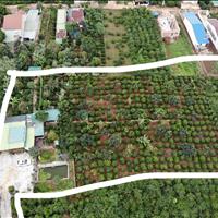 Cần bán nhanh đất ngay trung tâm thị trấn di linh