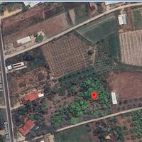 Lô đất hợp thổ Cam Thành Nam-Cam Ranh giá chưa qua đầu tư cách đường chính 50m, ngay khu dân cư