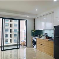 Cho thuê căn hộ làm văn phòng tại Chung cư cao cấp Vinhomes D'capitale