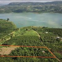 Bán 1ha đất Huyện Di Linh - Lâm Đồng , giá 9.00 Tỷ