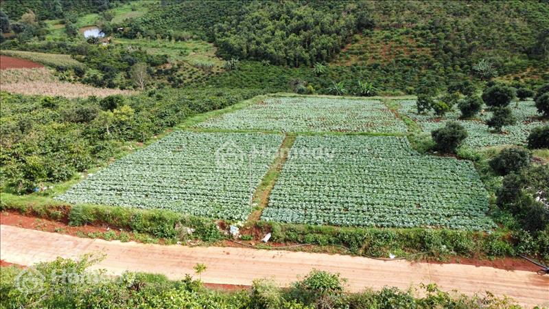 Bán đất nền nghỉ dưỡng, phân lô dự án Đập Bồng Chinh, mặt tiền 32m, dài 120m giáp mặt nước dự án hồ - Ảnh 2