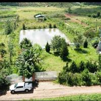 Bán đất tiếp giáp đường nhựa có view thung lũng cực hiếm tại trung tâm Tà Nung, TP. Đà Lạt