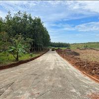 500m2 kp2 Minh thành.185tr 1 lô duy nhất .sổ hồng có sẳn
