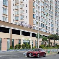 Cần bán nhanh căn Terra Mia, 2 phòng ngủ, 68 m2, giá 2.2 tỷ tại Bình Chánh - TP Hồ Chí Minh