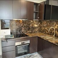Cho thuê căn hộ 2pn 2wc cao cấp mới bàn giao