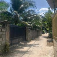 Cho thuê dài hạn đất vườn đường Liên Hoa, xã Vĩnh Ngọc, TP. Nha Trang, tỉnh Khánh Hòa