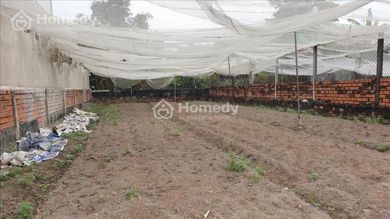 Đất thổ cư 8x20m, 1/ Tân Hiệp 13 gần trường cấp 1 - 2 xã Tân Hiệp, Hóc Môn - Ảnh 4