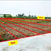 Bán đất Huyện Châu Thành - Long An giá 520.00 Triệu