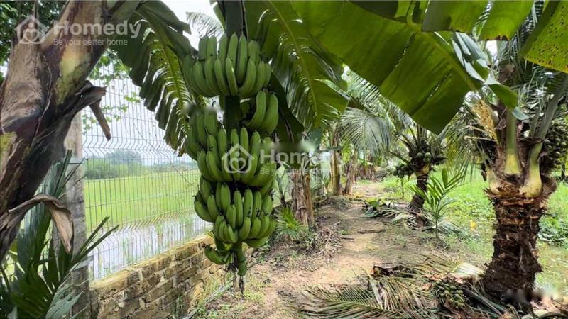 Cần bán nền đất 23 m2 tại Đường Hương Lộ 15 - Bình Lợi - Vĩnh Cửu - Đồng Nai, giá 67 tỷ - Ảnh 1