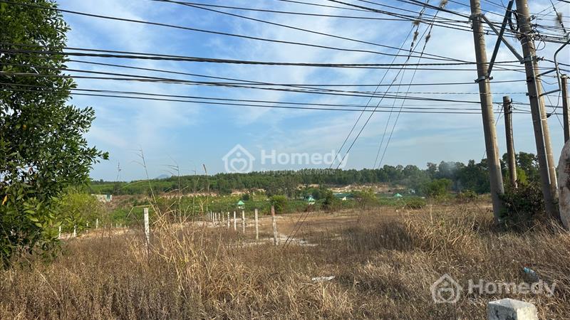 Bán 5800m2 đất Đường Nguyễn Chí Thanh, thị xã LaGi giá đầu tư, gần Biển - Ảnh 6